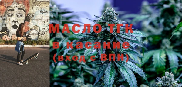 индика Аркадак