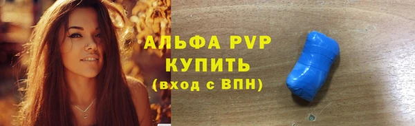 индика Аркадак
