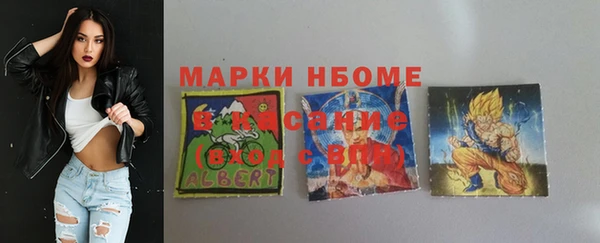 индика Аркадак