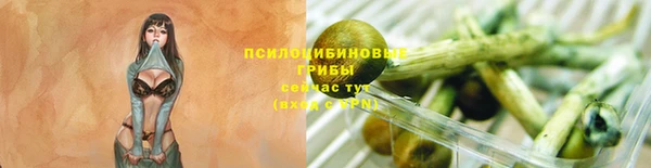 героин Арсеньев
