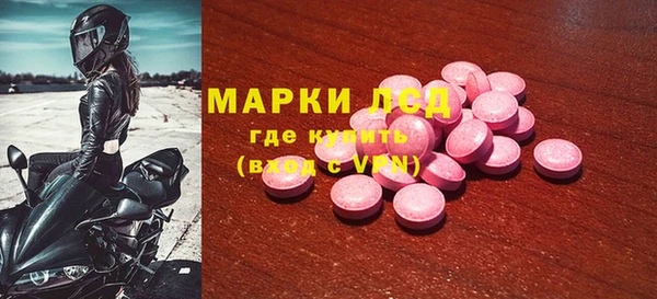 индика Аркадак