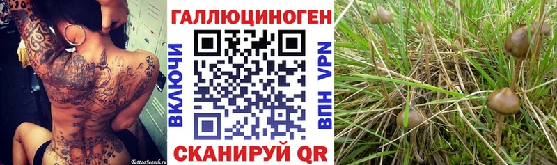 даркнет сайт  Кирово-Чепецк  Псилоцибиновые грибы GOLDEN TEACHER 